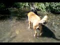 Playing in the water