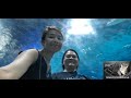 Moment to treasure #oceanarium #manilaoceanpark #travel2024 #philippines  #travelvlog #moments