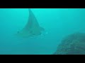 Diving with Manta Rays in Bali, Indonesia (Boyden library)