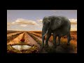 Photo Manipulation – Elephant / Unlocking Creativity 🌟📸 Photoshop.