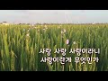 #  장 민    #창부타령   (唱夫打玲)     노래/가사   연속듣기