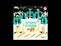 Los Buhos - Al Estilo Banda (Disco Completo)