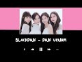 BLACKPINK - PINK VENOM AUDIO [2023]