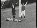 Harry Enfield - Arsenal('33) Vs Liverpool('91)