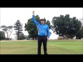 Cricket Umpire Signals - HD