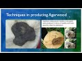 Making Millions from Agarwood by Dr. Ephraim Cercado