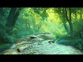 Mountain Stream Flowing | Forest Stream | Flowing Water. White Noise, Nature Sounds for Sleeping