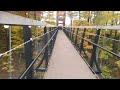 Michigan's skybridge October 21st 2023!! #fallcolor #skybridge #trending