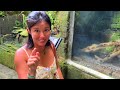 🇮🇩Bali Bird Park & Bali Reptile Park: Family friendly interactive fun!