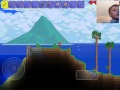 Replay from Terraria!