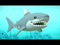 @Octonauts - 🪸 The Great White Shark 🦈 | Season 2 | Full Episodes | Cartoons for Kids