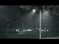 DEEP SLEEP EASILY IN 3 MINUTES | Strong Heavy Rain on Forest Park at Night