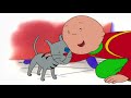 Caillou | Caillou's Friend Play at the Park | Videos For Kids | WildBrain Cartoons