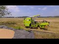 Amazing Rice Harvester 🙂🙂#viral #tricks #trending #india