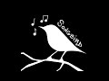 Songbird (Full Demo)
