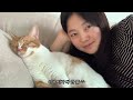 vlog) 내집마련 & 랜선 집들이🏡🫧고양이들이 더 좋아하는 아파트 생활🐱