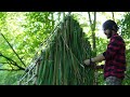 Building a Tree-Top Bushcraft Survival Shelter in Heavy Rainstorm