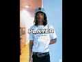 [FREE] King Von X Emotional Trap Type Beat “Player” | 2024