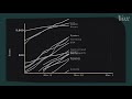 How coronavirus charts can mislead us