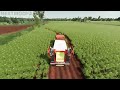 Farming Timelapse | Satisfying | Farming Simulator 22 | Ep.15 FS |