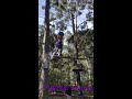 Treetop Adventure Park Western Sydney (Plough and Harrow)