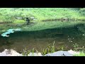 Relaxing Fish Pond & Waterfall - #asmr #relaxing #nature #Fish