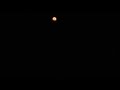Mars Captured with Nikon P1000 6/4/2024 at 4:52 AM