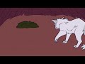 First Love ~ Warrior Cats Pmv (Bluestar & Whitestorm)