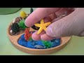 Five Mini Animal Habitats Small World Tray Diorama - Learn Animal Names