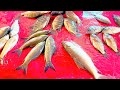 চমৎকার রুই মাছ দেখুন | Fishing Videos