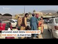 Afghan Refugees Leave Pakistan As Mass Deportation Deadline Looms