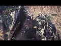 The NewNew vs Nergigante