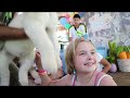 Miami Zoological Wildlife Foundation Part 1 - Playing with Wild Animals Including Lion Cub
