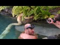 Swimming with a Gigantic Burmese Python!