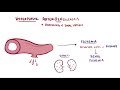 Arteriosclerosis, Atherosclerosis & Arteriolosclerosis  pathology