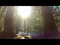 Virtual Hike:Tamolitch Falls (Blue Pool) Oregon, 4K, 1 Hour, Forest, River
