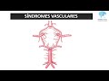 ACIDENTE VASCULAR ENCEFÁLICO (Aula Completa) - Rogério Souza