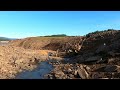 Serenity in Nature: 5 Minute Forest Meditation with Birds and Mineral Rich River Creek