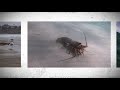 La Jolla Shores - On the Brink of a Pier 1080p 1