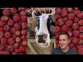 Worlds Funniest Farm Animals