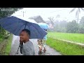 Super heavy rain, strong winds and thunderstorms | Get rid of insomnia with the sound of heavy rain