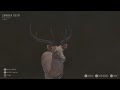 Way of the Hunter: My First 5 star Sambar deer