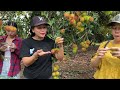 Khám phá vườn trái cây siêu trái • Đại tiệc Hải sản LAGI/ anh em hội ngộ