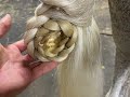 Learn To Braid Horse Hair | FRENCH BRAID AND FISHTAIL BRAID