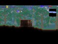 Beating MASTER MODE Terraria With ONLY YO-YOS! (Again.)