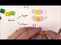 Baryons and Mesons in terms of their Quarks - A Level Physics