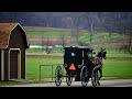 Amish Buggy