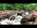 Imagine being on the bank of a calm river for relaxation