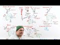 Diabetes Insipidus and SIADH | Clinical Medicine