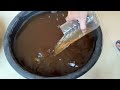How to Culture Moina Indoor in Small Tank with Yeast and Molasse | Unlimited Live Food